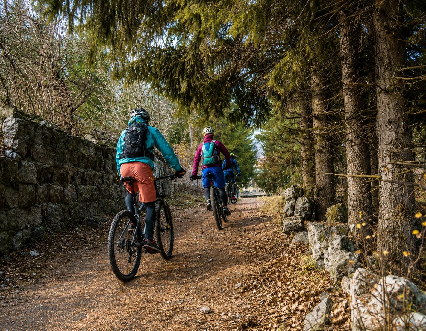 Guided riders on a BooPark forest trail
